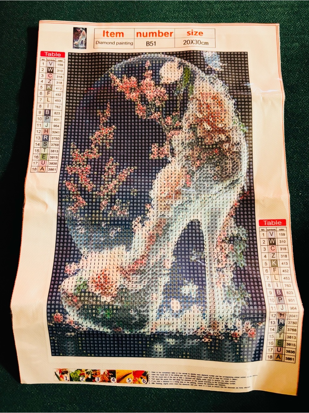 New Cherry Blossom Glass Slipper 8x12" DIY Diamond Art Kit
